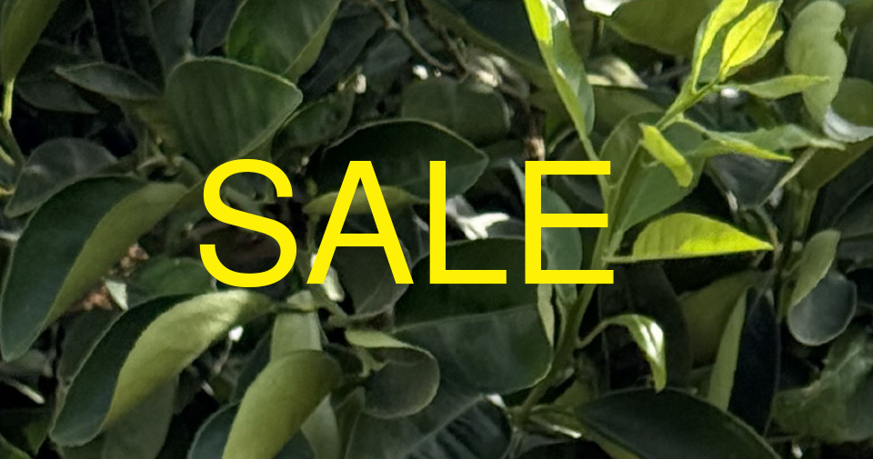 Sale-Bannerfür Herrenunterwäsche