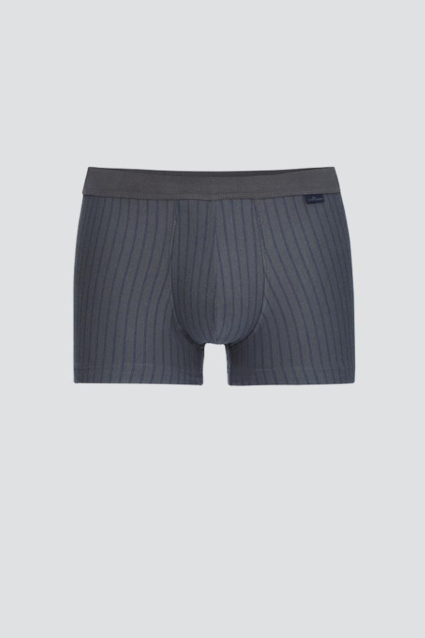 Produktbild Vorderansicht Comazo Herren Trunks Farbe Granit mit Streifen aus Baumwolle