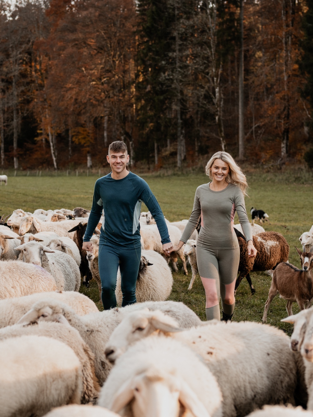 Paar trägt farbige Merino-Funktionswäsche von Comazo und läuft durch eine Schafherde – natürliche Wärme und Atmungsaktivität aus reiner Merinowolle.