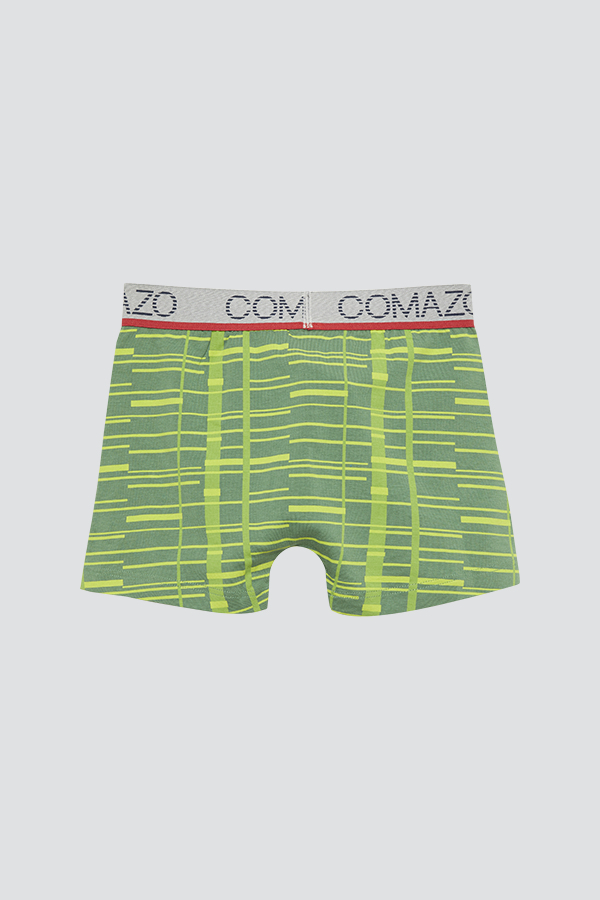 Product image rear view of trunks by Comazo in the color lime.